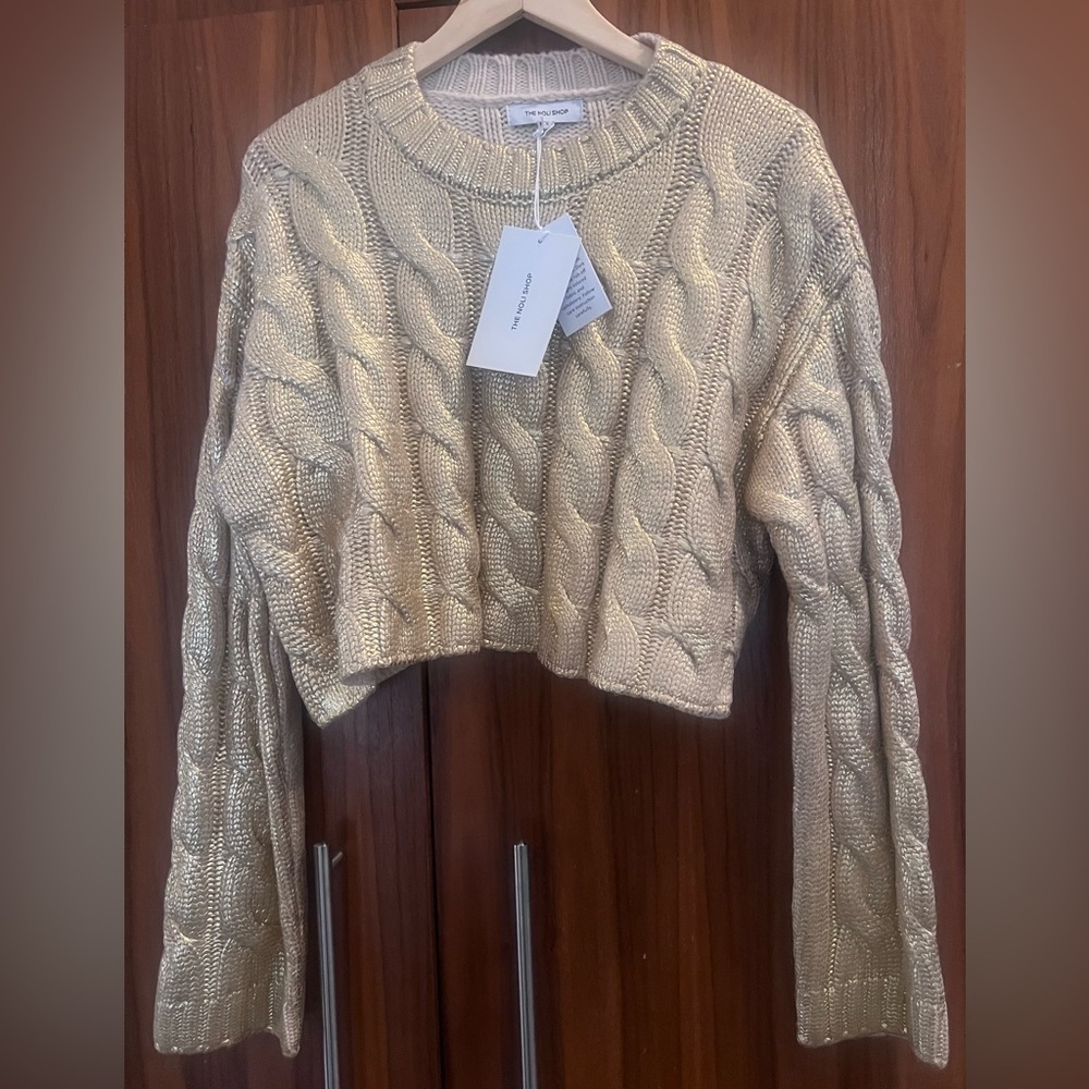 Noli Metallic Knit Cropped Sweater